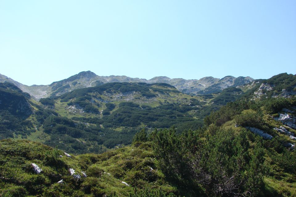 V.Bogatin - Lanževica 16.8.2013 - foto povečava