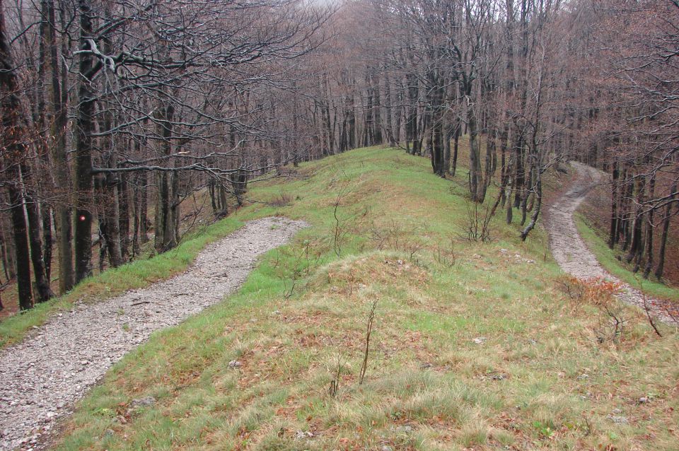 Risnjak 26.4.2014 - foto povečava