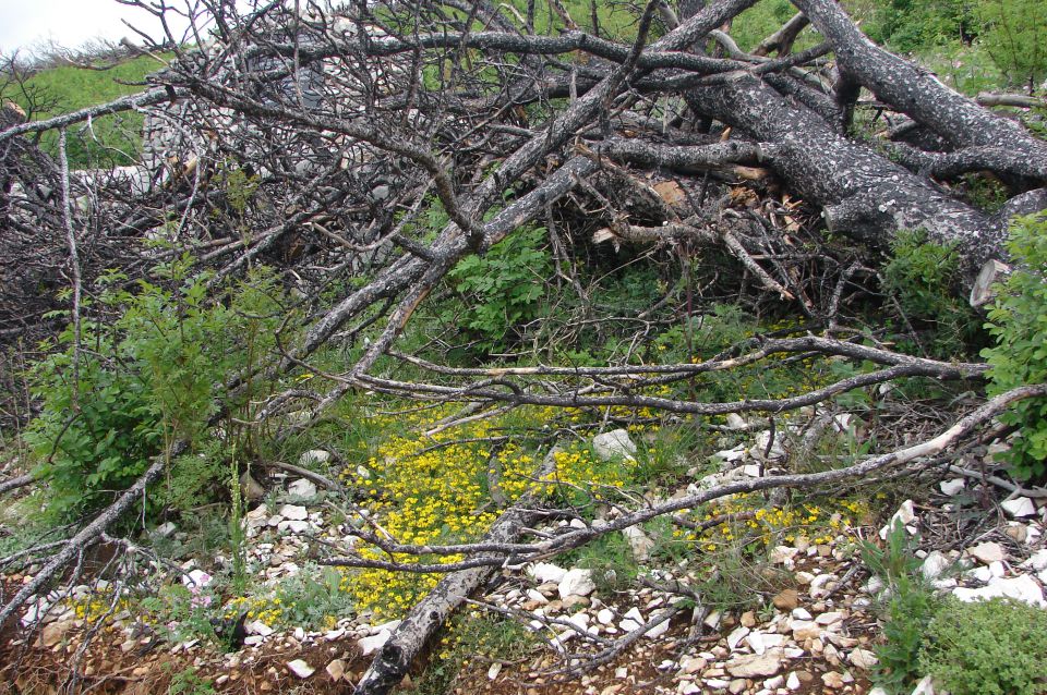 Novi vinodolski - Crikvenica 27.4.2014 - foto povečava