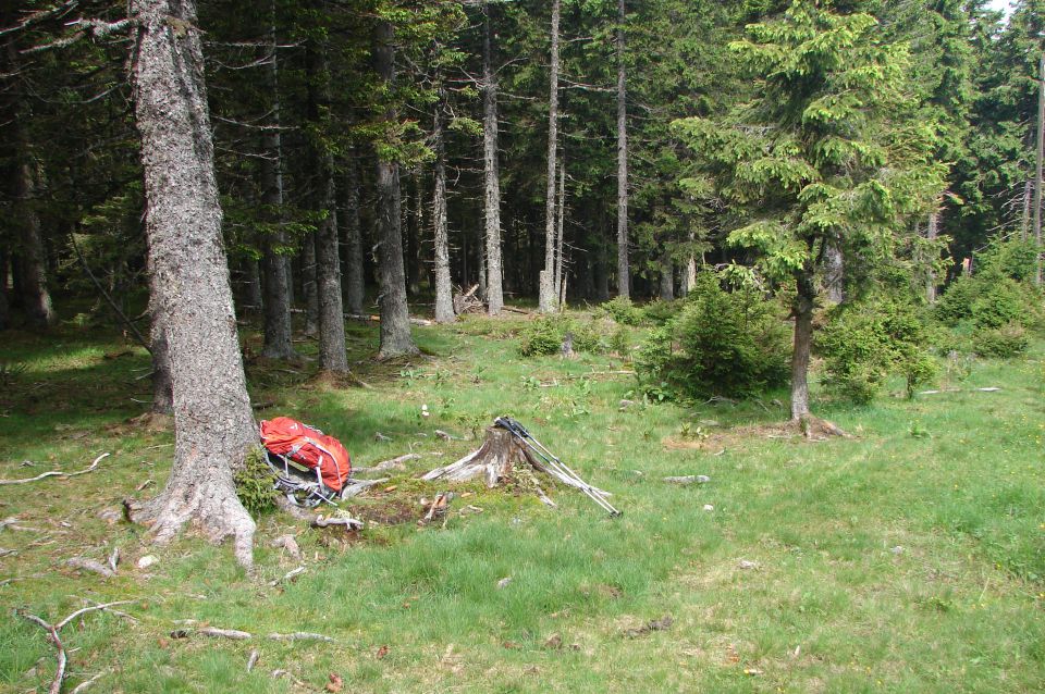  Pesek - Rogla - Lovrenška jezera 14.6.2014 - foto povečava