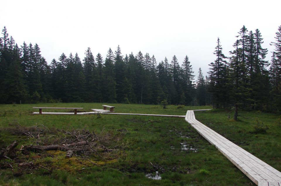  Pesek - Rogla - Lovrenška jezera 14.6.2014 - foto povečava