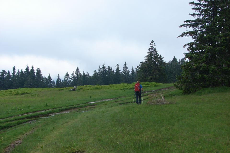  Pesek - Rogla - Lovrenška jezera 14.6.2014 - foto povečava