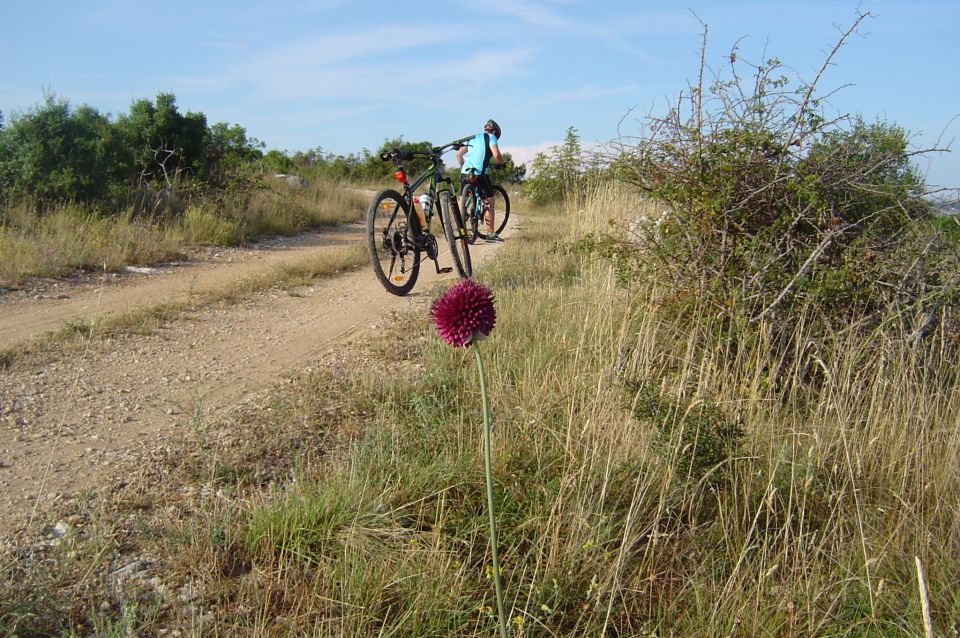 Kolesarjenje - Pakoštane 8 -16.7.2014 - foto povečava