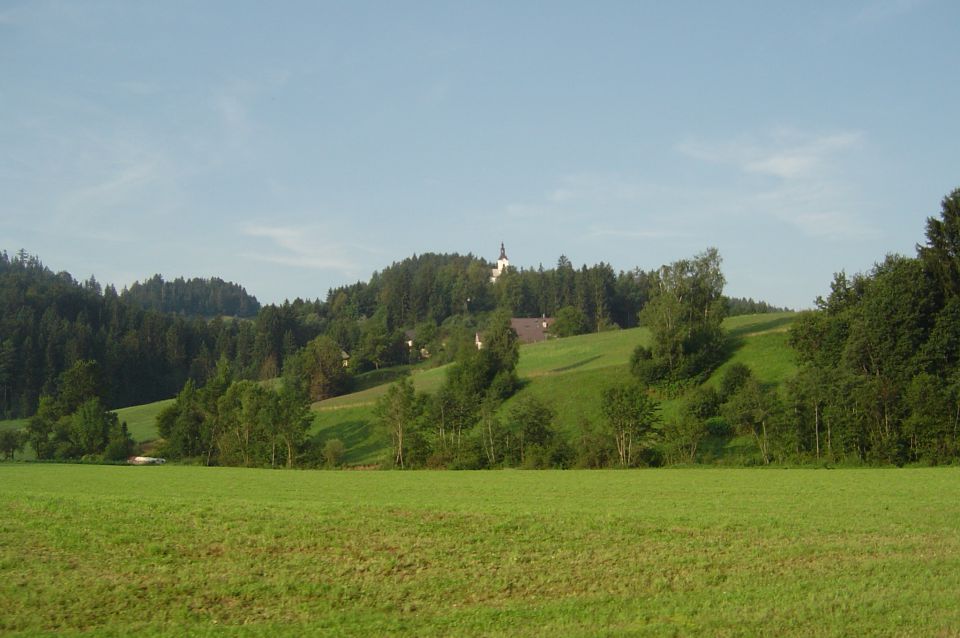 V okolici Slovenj Gradca 20.7.2014 - foto povečava