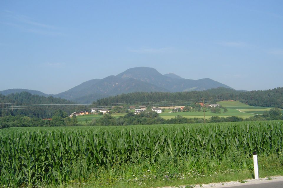 V okolici Slovenj Gradca 20.7.2014 - foto povečava