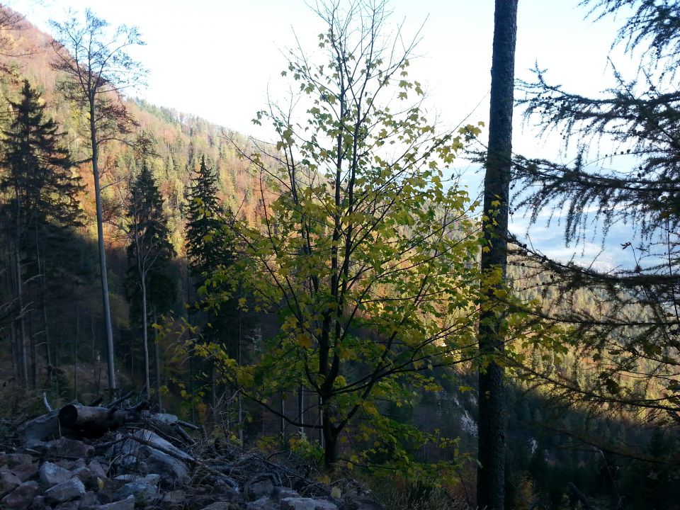 Uršlja gora 12.10.2014 - foto povečava