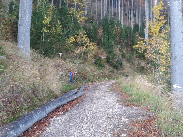 Uršlja gora 12.10.2014 - foto