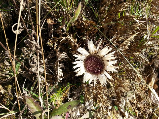 Uršlja gora 12.10.2014 - foto