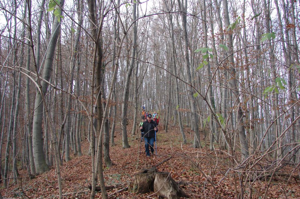 Grmada - Vurberk 13.12.2014 - foto povečava