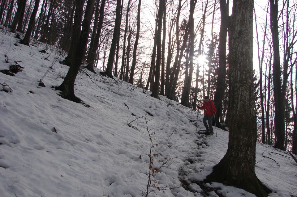 Boč 10.1.2015 - foto povečava