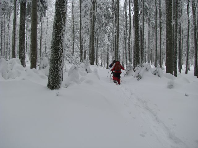 Areh - Žigartov vrh, krplanje 7.2.2015 - foto