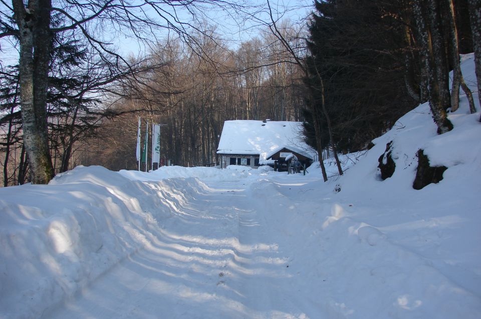 Gorjanci 16.2.2015 - foto povečava