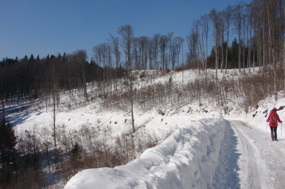 Gorjanci 16.2.2015 - foto povečava