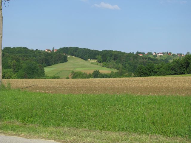 Negovske šume 28.5.2015 - foto