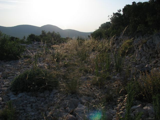 Vransko jezero, Kamenjak 2 X 5., 6. 7. 2015 - foto