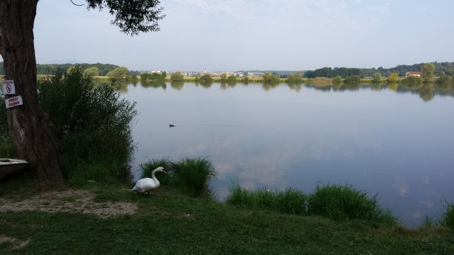 Jutranje kolesarjenje 16.7.2015 - foto