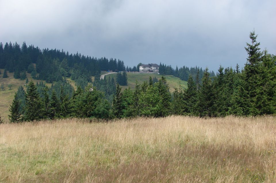 Rogla Lovrenška j Ribniška 4.8.2015 - foto povečava