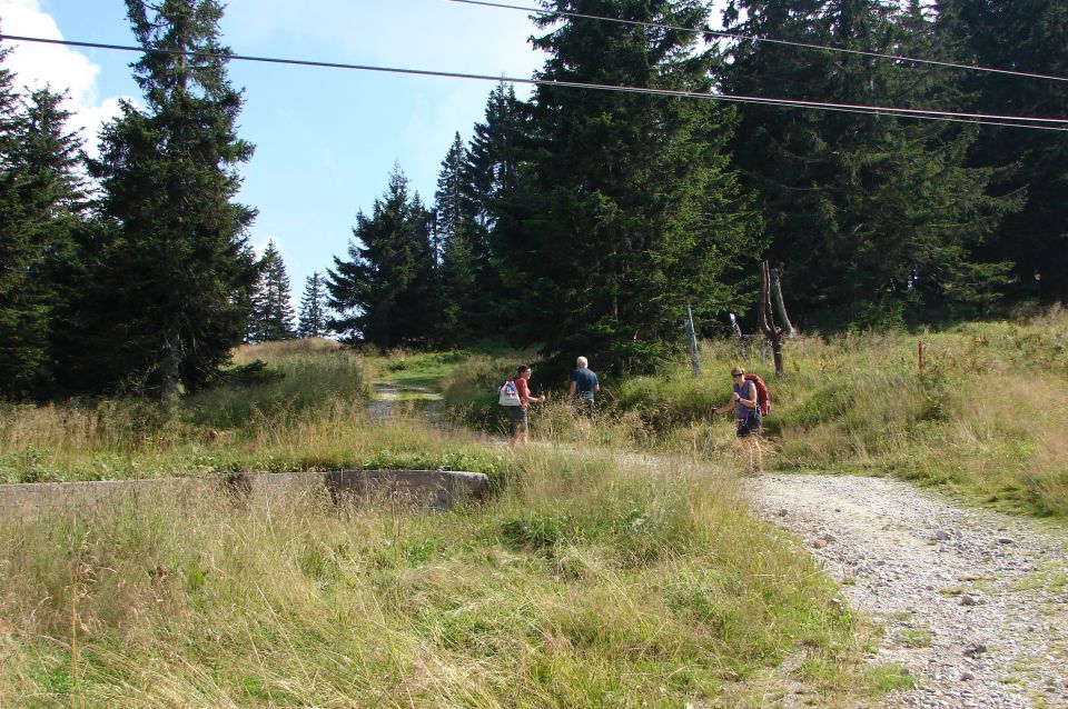 Pastirki stol -Velika kopa -Ribniška 6.8.15 - foto povečava