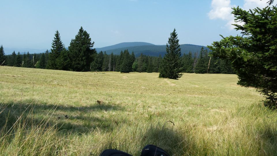 Še nekaj vtisov s pohorja 8.-9- 8.15 - foto povečava