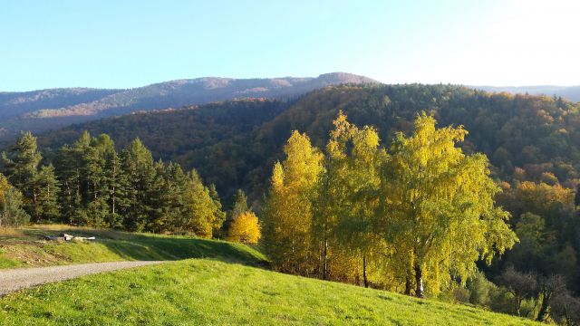 Kolesarsko Slovo od Pohorja za letos 24.10.15 - foto