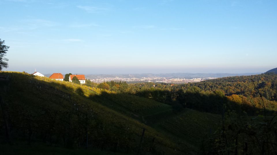 Kolesarsko Slovo od Pohorja za letos 24.10.15 - foto povečava