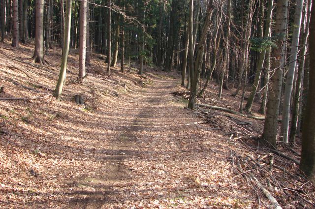 Od doma na Boču do Donačke gore 5.12.2015 - foto