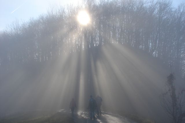 Od doma na Boču do Donačke gore 5.12.2015 - foto