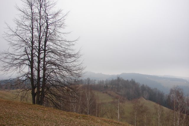 Sv. Urh - Bistriški vintgar 2.1.2016 - foto