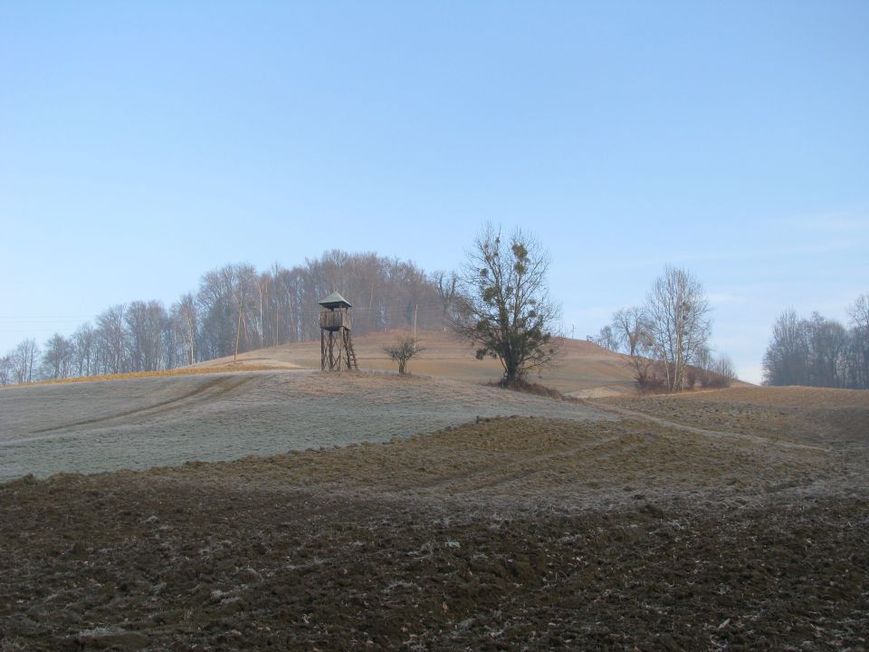 Šentiljska pot - del 30.1.2016 - foto povečava