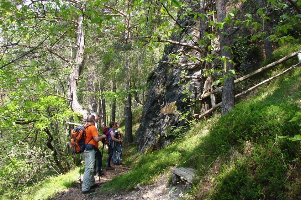 Rečiška pot 1.del od Laškega do Kala 7.5.2016 - foto povečava