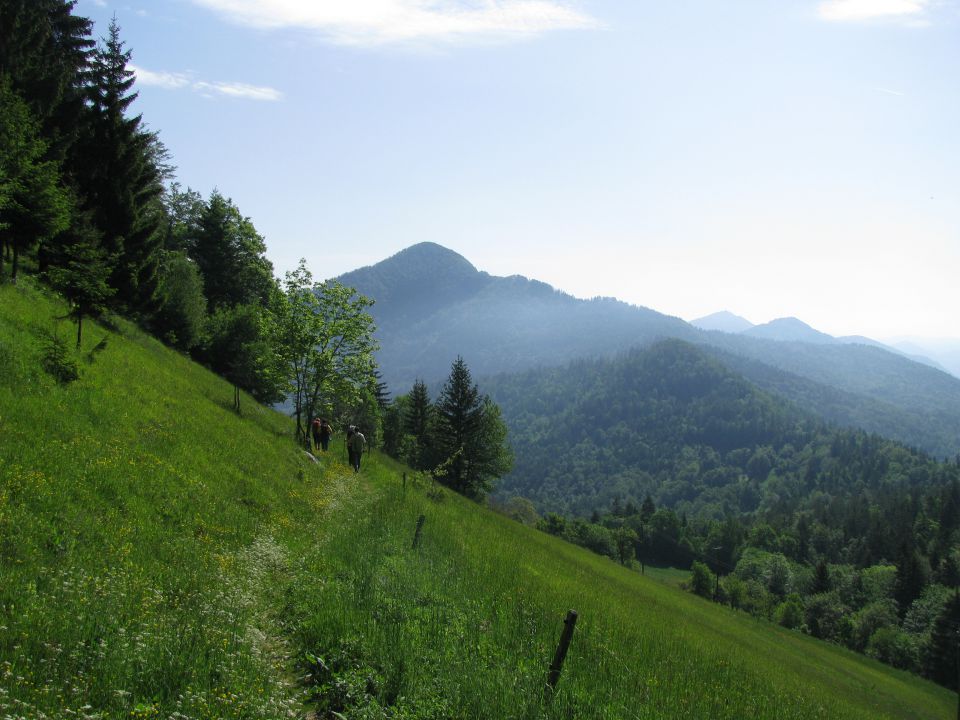 Rečiška pot 2.del s Kala do Laškega 28.5.2016 - foto povečava