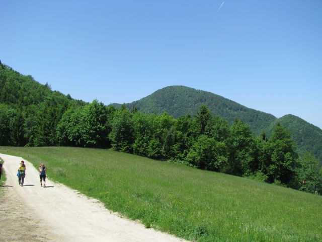 Rečiška pot 2.del s Kala do Laškega 28.5.2016 - foto