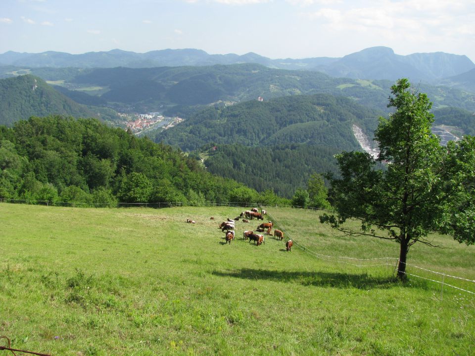 Rečiška pot 2.del s Kala do Laškega 28.5.2016 - foto povečava