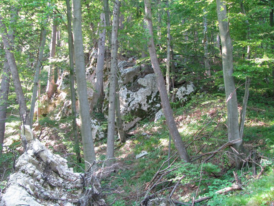 Menina planina 4.6.2016 - foto povečava