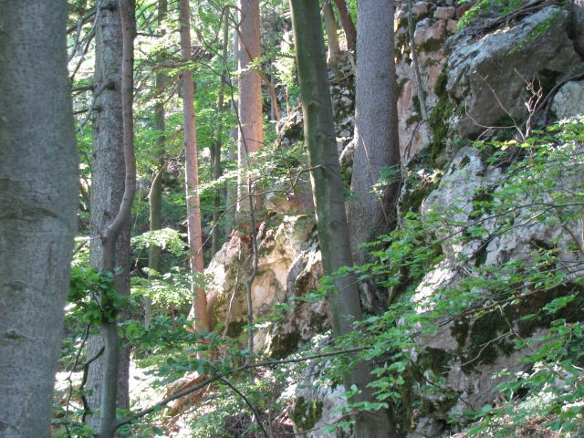 Menina planina 4.6.2016 - foto