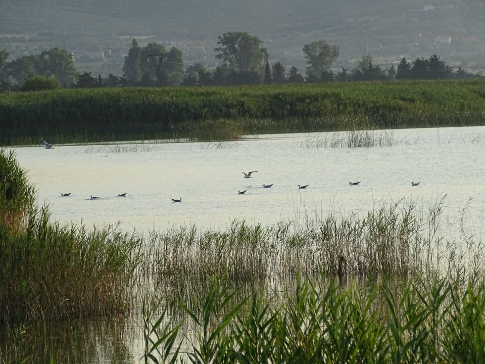 PAKOŠTANE 6. DO 14. 7. 2016 - foto povečava