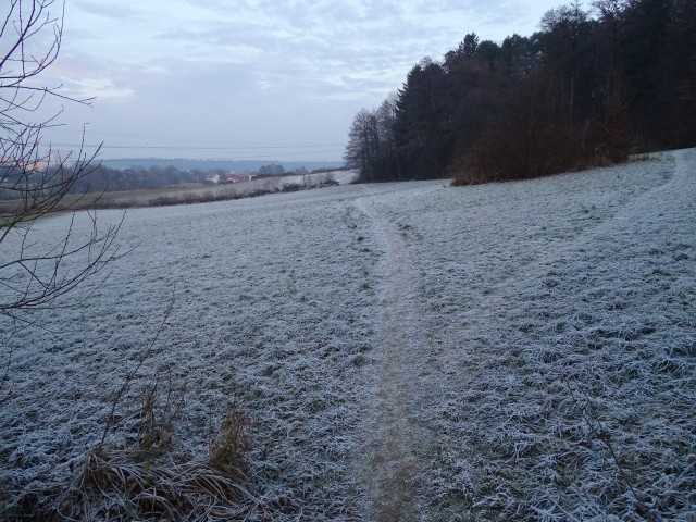 Pohorje - Poštela Mariborska koča 18.12.2016 - foto