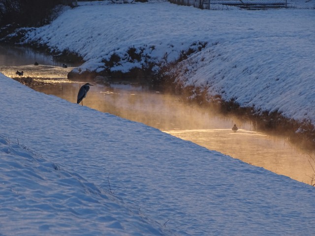 Jutro na Ptuju 19.1.2017 - foto