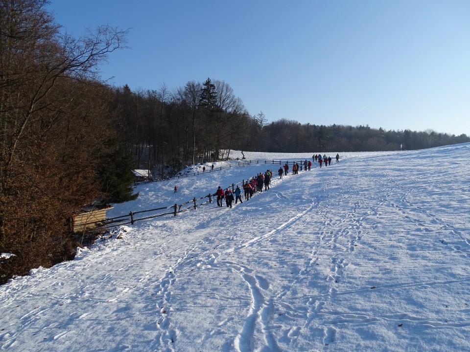 Negova- Sv.Jurij ob Ščavnici 21.1.2017 - foto povečava