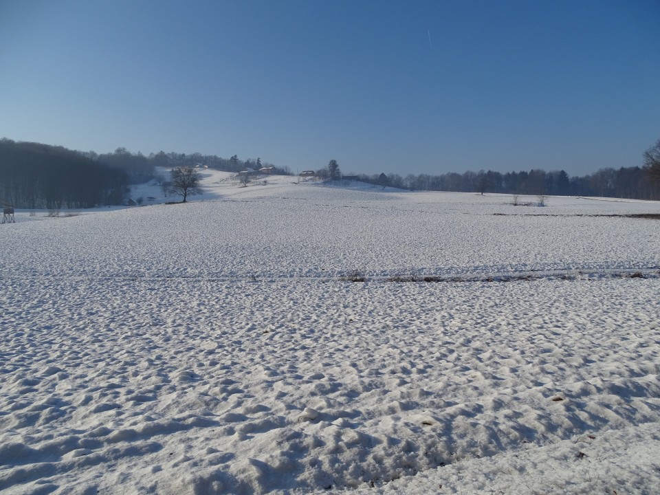 Negova- Sv.Jurij ob Ščavnici 21.1.2017 - foto povečava