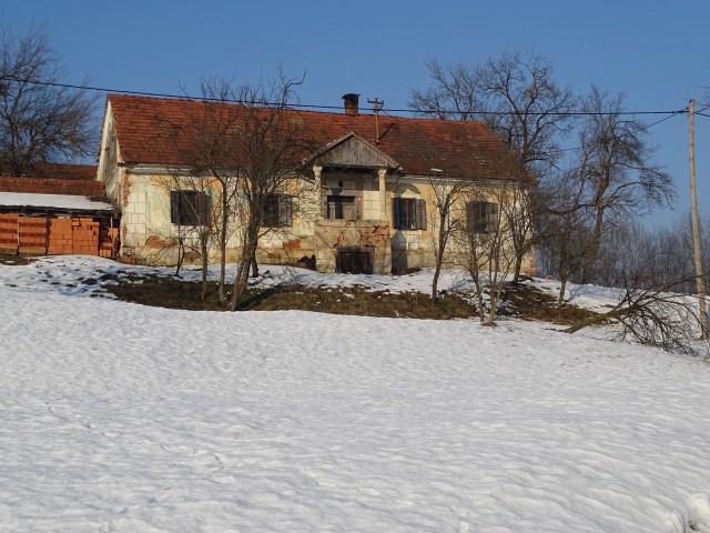 Negova- Sv.Jurij ob Ščavnici 21.1.2017 - foto