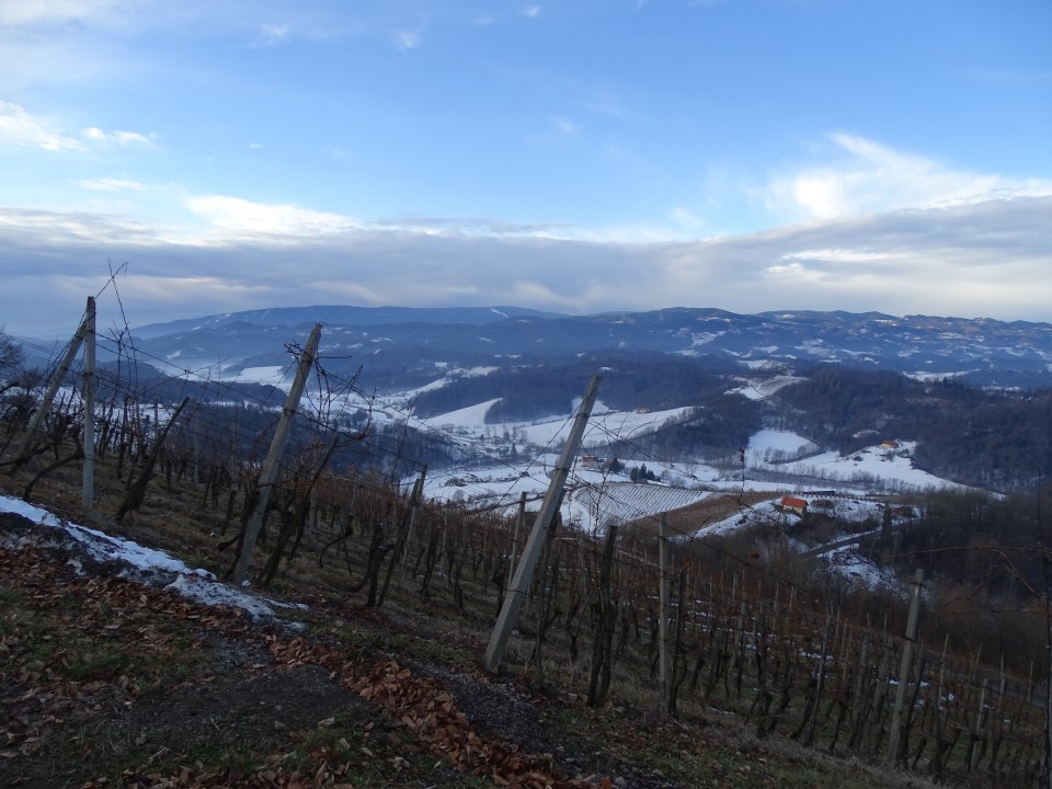 Vinotour Oranžna 4.2.2017 - foto povečava