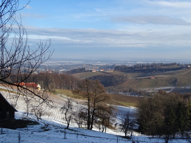 Vinotour Oranžna 4.2.2017 - foto