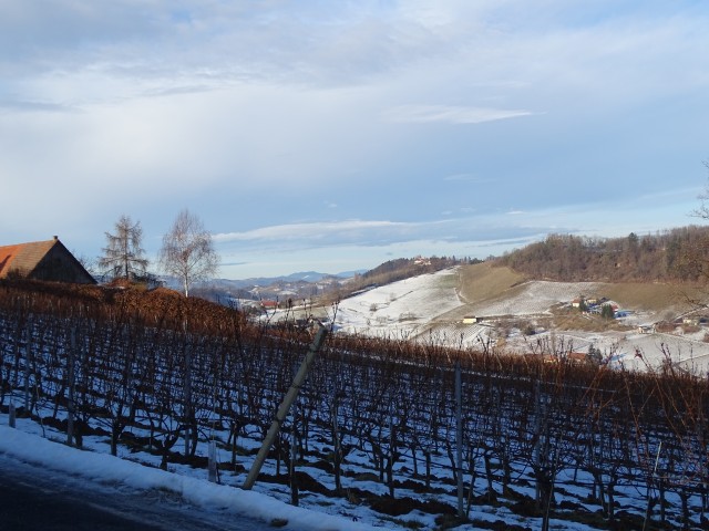 Vinotour Oranžna 4.2.2017 - foto