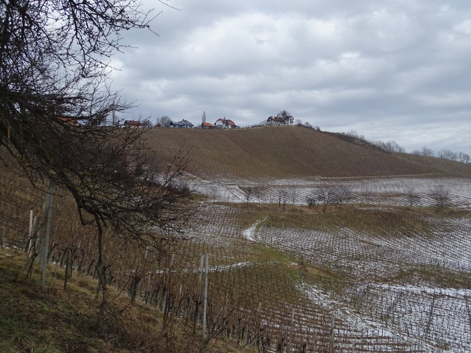 Vinotour Oranžna 4.2.2017 - foto povečava