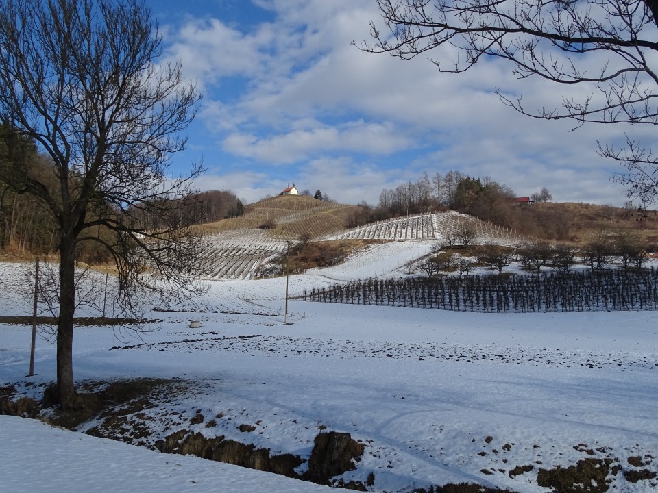 Vinotour Oranžna 4.2.2017 - foto povečava