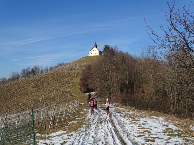 Vinotour Oranžna 4.2.2017 - foto