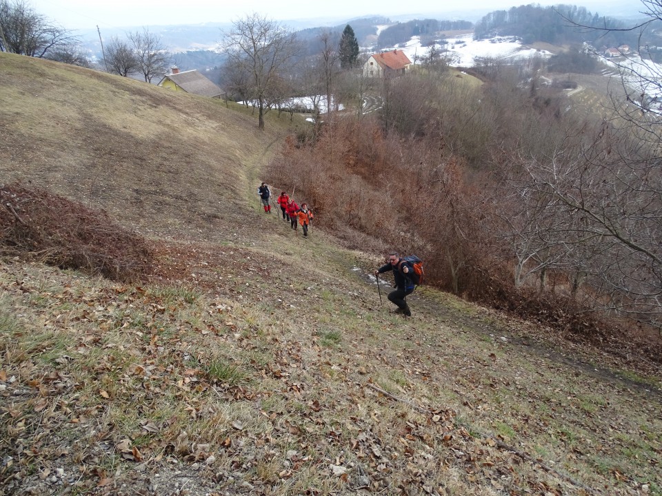 Vinotour Oranžna 4.2.2017 - foto povečava