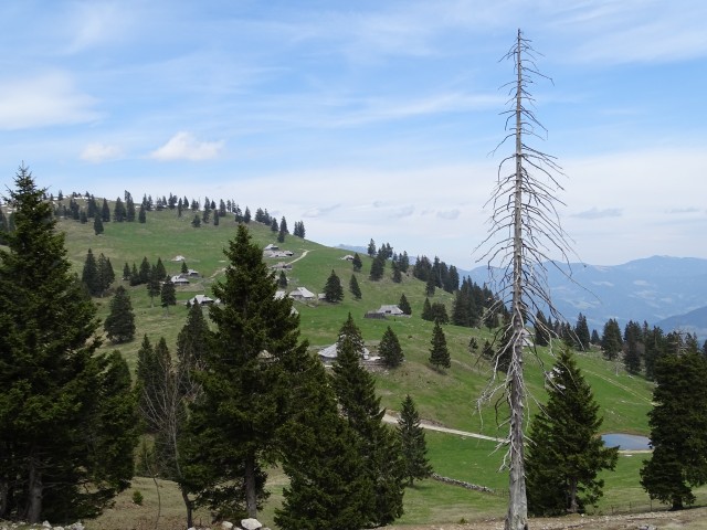 Velika planina 22.4.2017 - foto