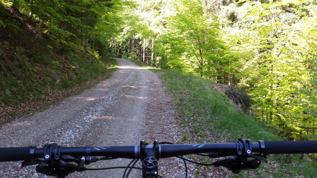 Kolesarjenje Ruše Areh  - dol trail - foto